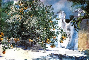 Orange Tree Nassau aka Orange Trees and Gate Winslow Homer watercolor Oil Paintings
